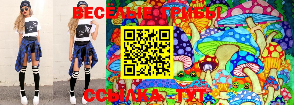 Псилоцибиновые грибы Psilocybine cubensis  Псилоцибиновые грибы Psilocybe  Вход с VPN  Назрань 