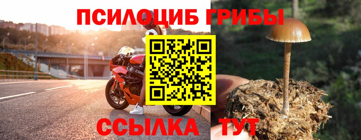 Галлюциногенные грибы мицелий Назрань